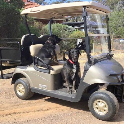goodasgoldcarts-com-au-2014-ezgo-used-golf-cart-rxv-3-in-1-ute-back-tray-4-seater-almond-06