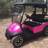 Club Car Precedent Custom Pink Glitter with Chequered Stripes